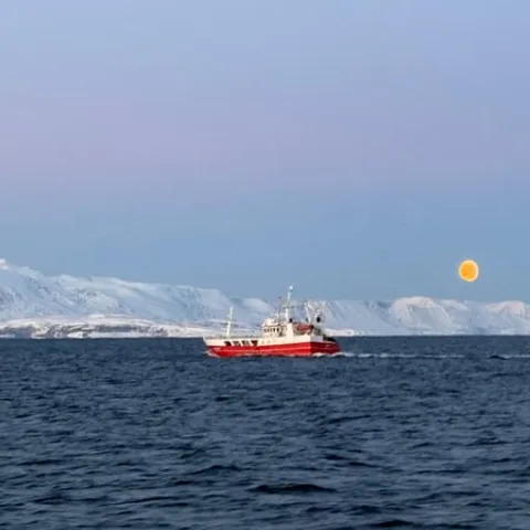 A whale-watching boat under the winter moon