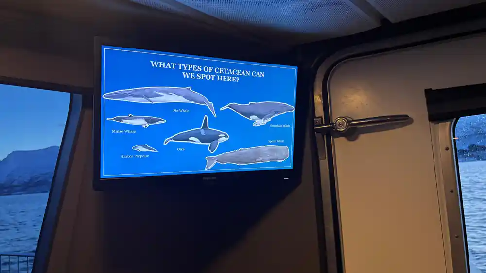 Interior display screen showing types of cetaceans on boat