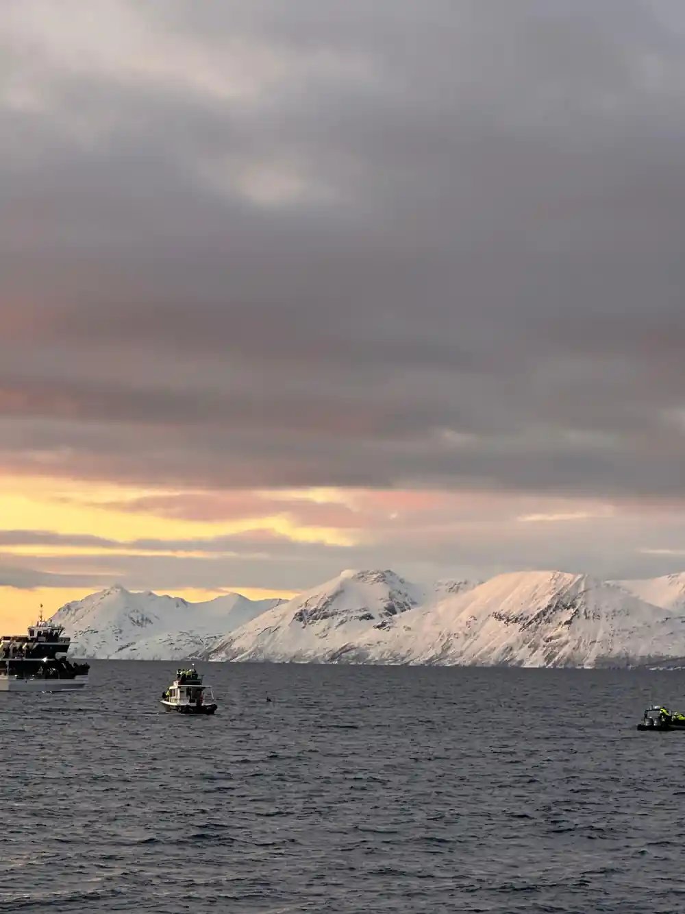 Multiple boats on water with snow-covered mountains