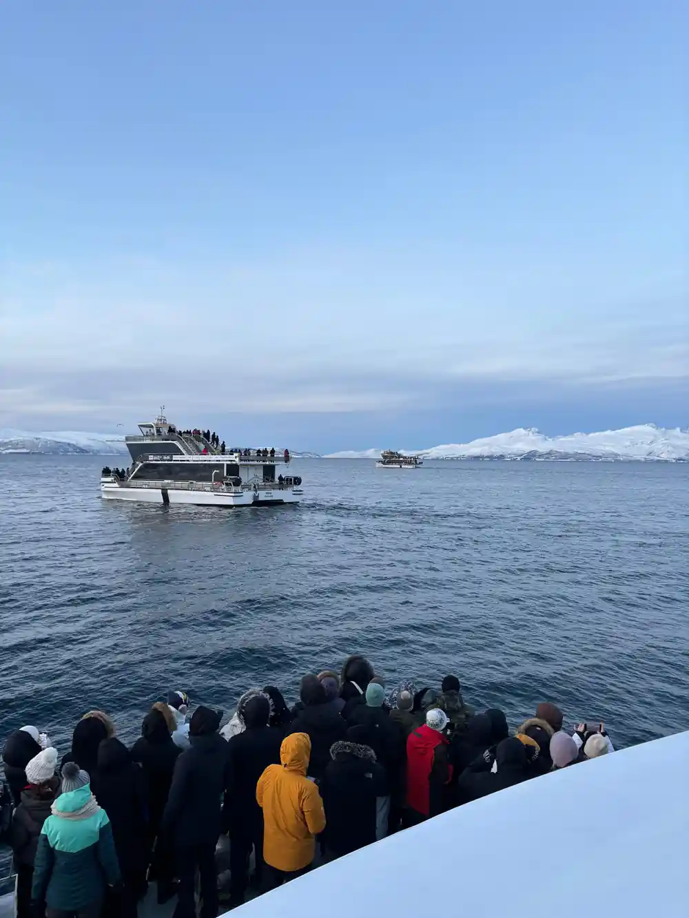 Passengers on boat deck watching whale watching vessels