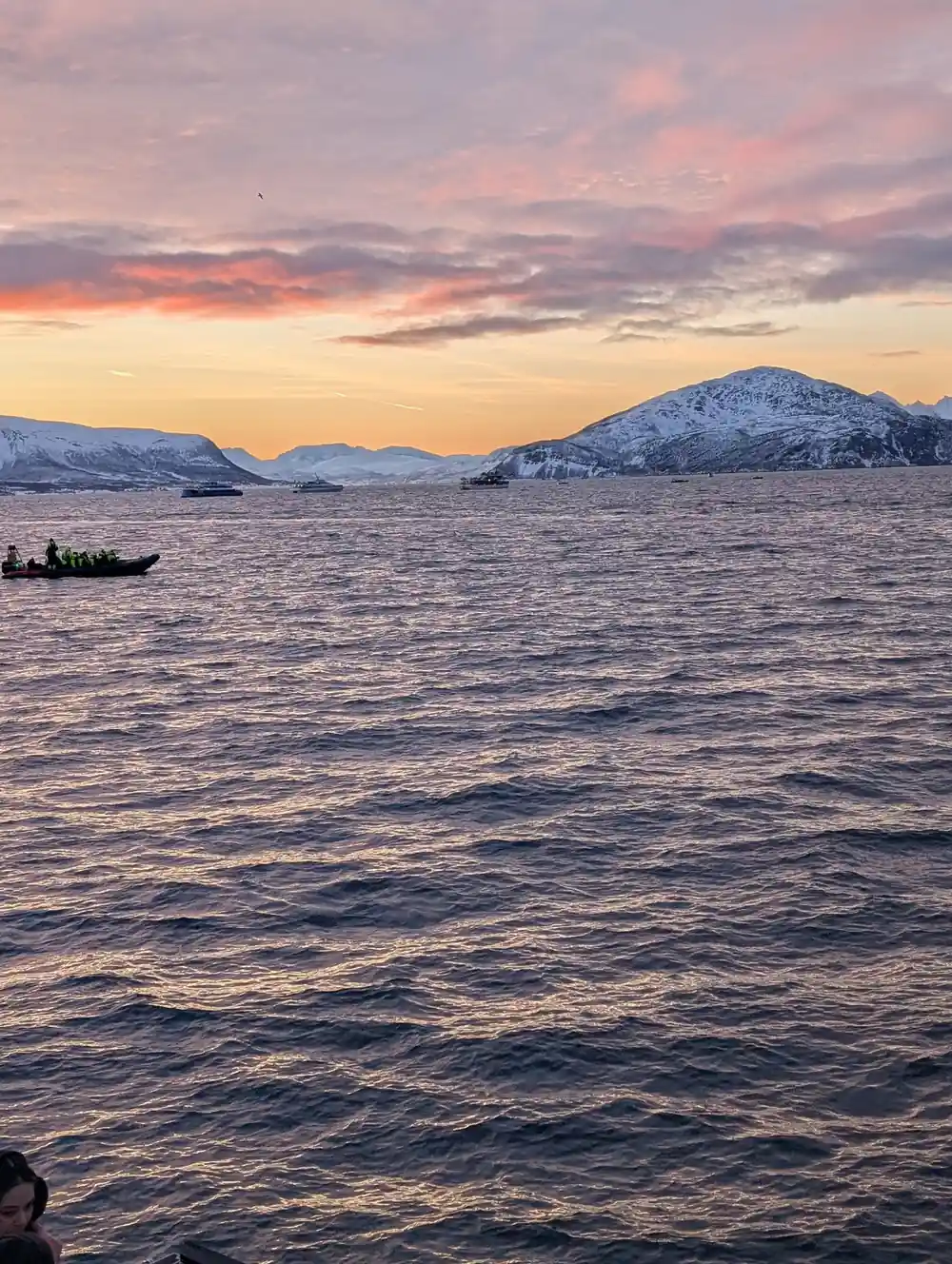 Snow-covered mountains across calm arctic waters