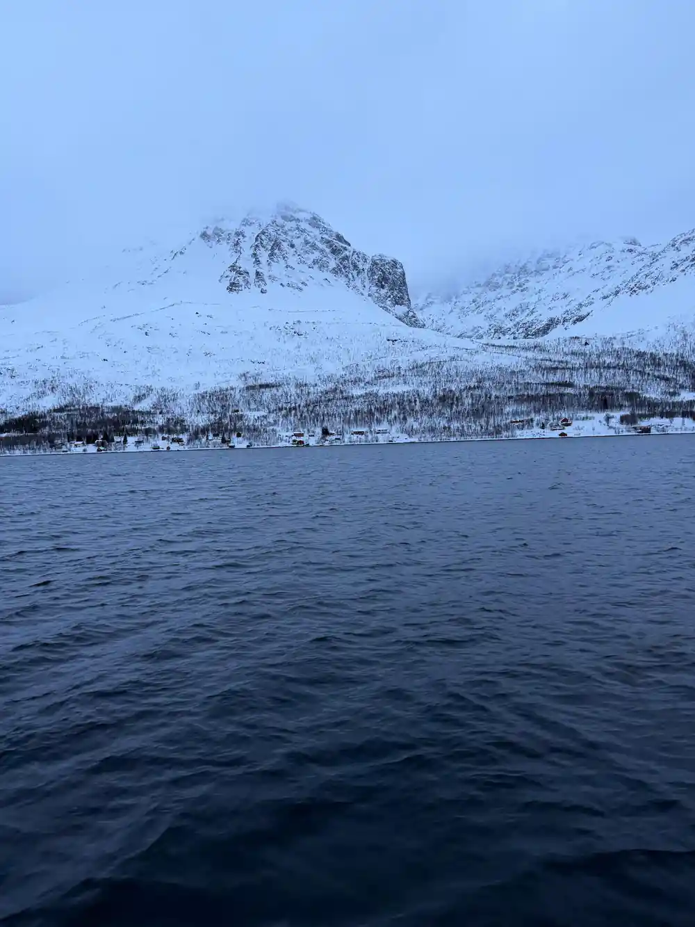 Snow-covered mountains reflected in calm winter fjord water