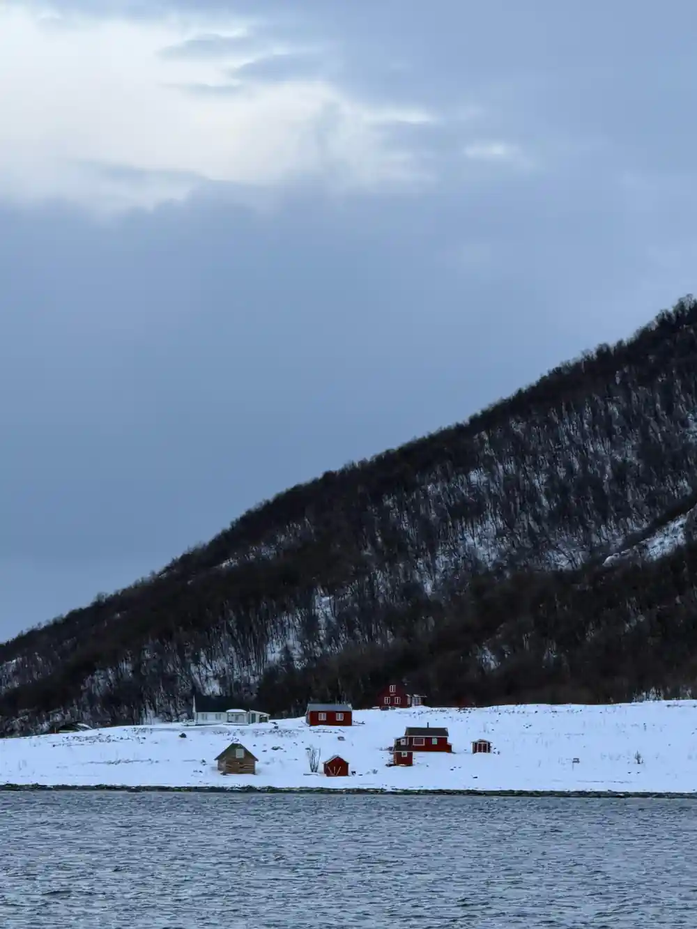 Snowy hillside with red buildings and frozen landscape